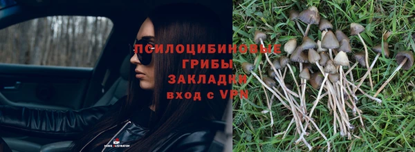 jwh Богданович
