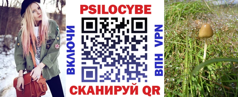 Псилоцибиновые грибы Psilocybe  где купить наркоту  MEGA ссылка  Сковородино 