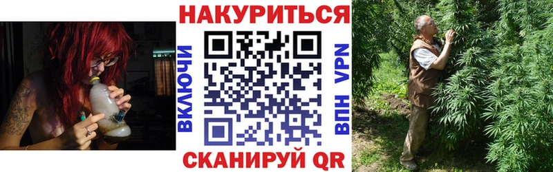 закладки Сковородино Каннабис SATIVA & INDICA